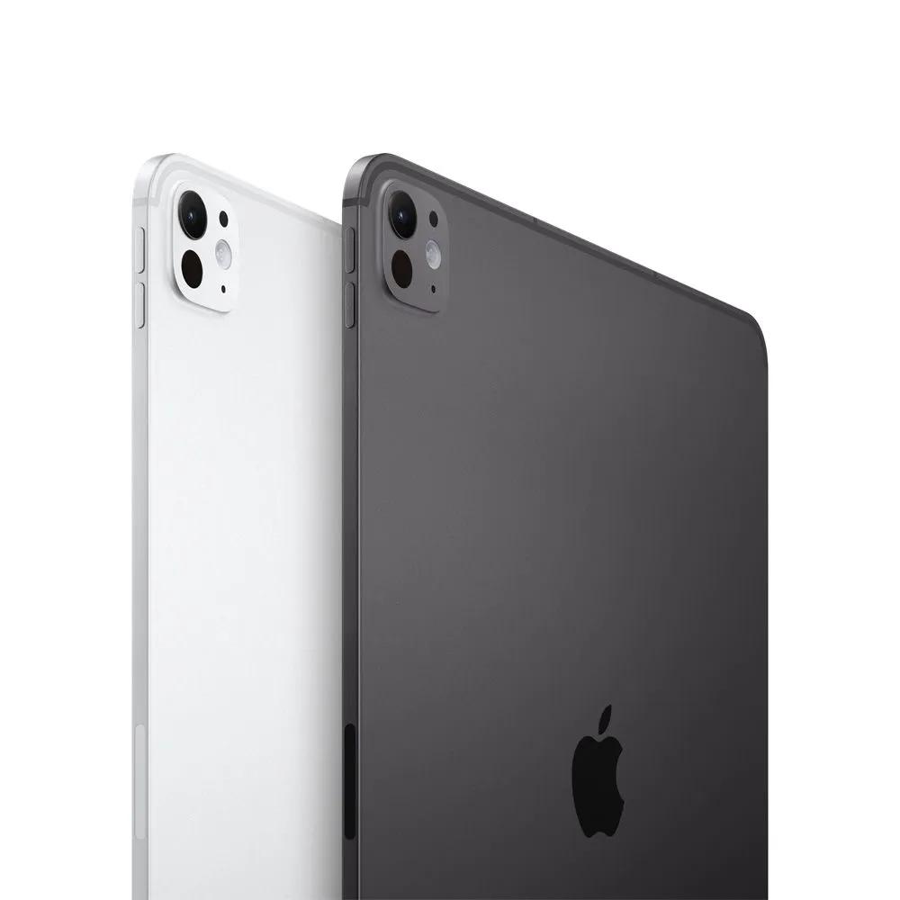 iPad Pro 11 Pulgadas